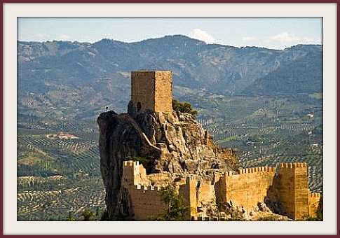 olive tree field, olive tree, olive, The castle of Cazorla, Spain, evergreen, agriculture, spanish olive trees